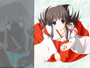 Ecchi-wall1.jpg