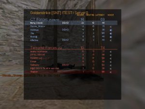 stats.jpg