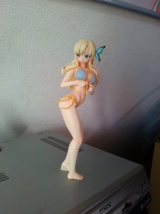 CAM00047.jpg