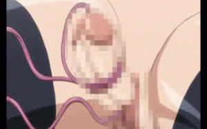1423248017740.gif
