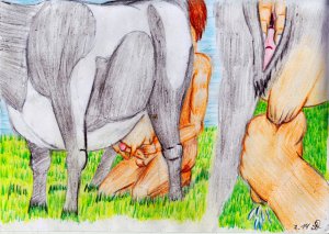Tittenfick mit Kuh.jpg
