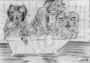 3_1_Fritz d Cat.jpg