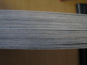 IMG_5031.JPG