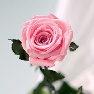 IMG_0846.JPG