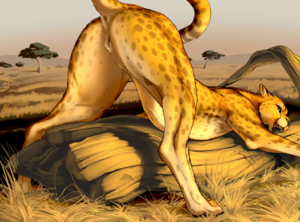 Cheetah.png