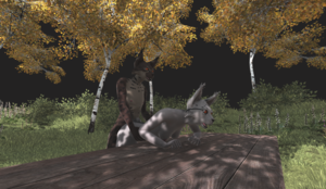 8.png
