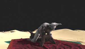 13.png