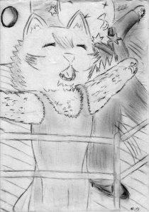 Kitty on Board.jpg