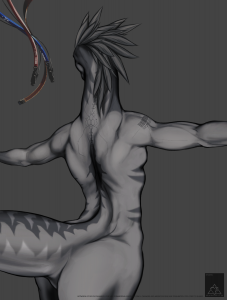 bny_bck_anatomy.png