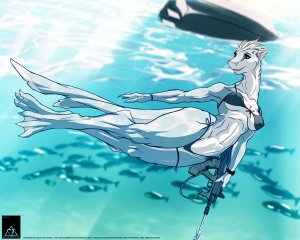 Dive_cc.jpg