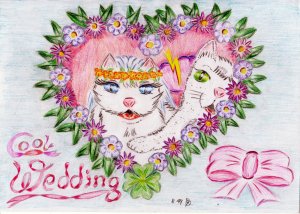 Cool Wedding.jpg