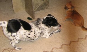 IMG_0210.JPG