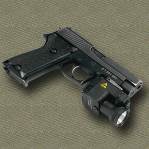 LLM01Sig.gif