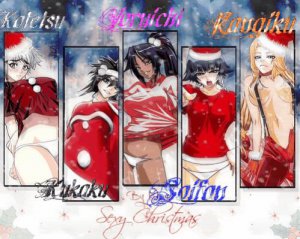 bleachsexychristmas-1.jpg