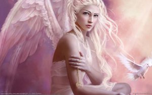 Angel_Doves_Fantasy_CG_Girl.jpg