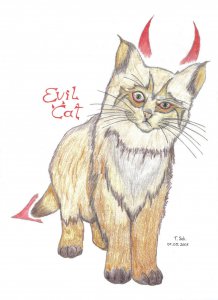 evil cat.jpg