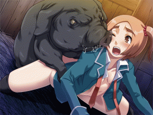 5.gif