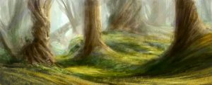 wald copy.jpg