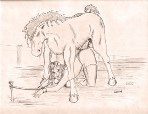 17641.jpg