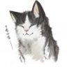 furychan