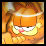 DickerOrangerKater
