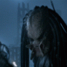 -Predator-