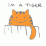 Sash_111