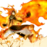 Natsu0911
