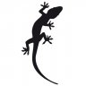 Gekko33