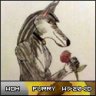 drachen20