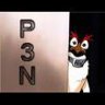 p3n
