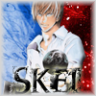Skei