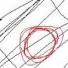 Thyrus