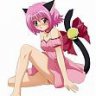 akkirules