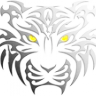 White Tiger