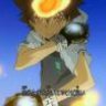 the animelover