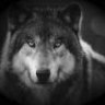Dark-LightWolf