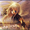 Marcocius