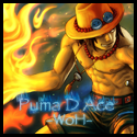 Puma D Ace
